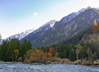 Jak wydrukować etykietę z telefonu? Jak wydrukować etykietę z telefonu?