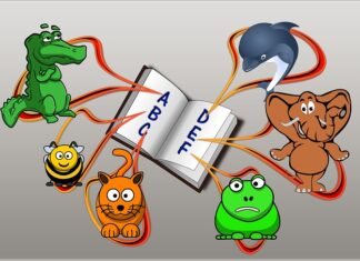 Co to EDC zawieszenie? Co to EDC zawieszenie?