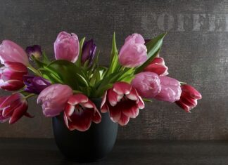 Czy po wymianie sprężyn z tyłu trzeba ustawiać zbieżność? Czy po wymianie sprężyn z tyłu trzeba ustawiać zbieżność?