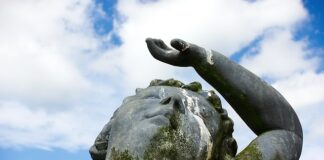 Co zjada odchody w akwarium? Co zjada odchody w akwarium?