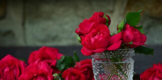 Kto płaci za pojemniki na śmieci?